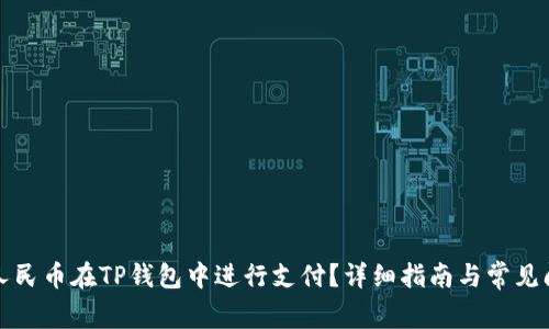 如何用人民币在TP钱包中进行支付？详细指南与常见问题解析