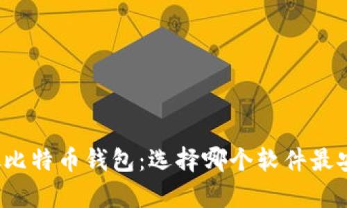 bishou存放比特币钱包：选择哪个软件最安全与便捷？