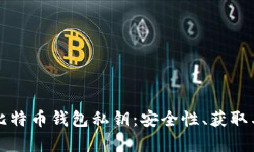 深入理解比特币钱包私钥：安全性、获取与管理指南
