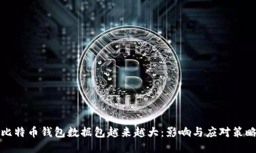 比特币钱包数据包越来越大：影响与应对策略