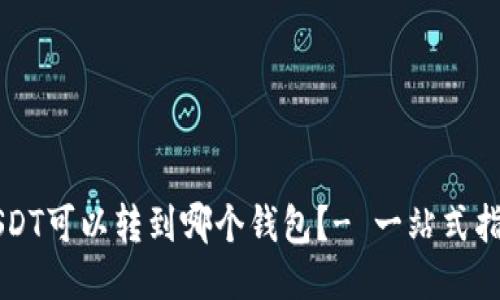 USDT可以转到哪个钱包？- 一站式指南