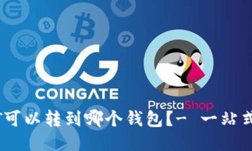 USDT可以转到哪个钱包？- 一站式指南