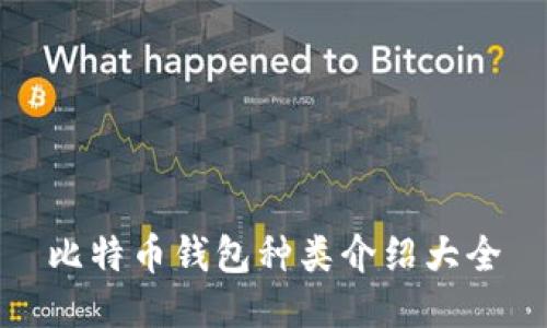 比特币钱包种类介绍大全