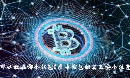 屎币可以放在哪个钱包？屎币钱包推荐及安全注意事项