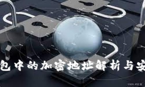 比特币钱包中的加密地址解析与安全性分析