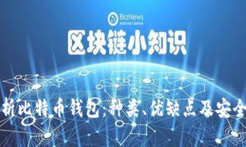 全面解析比特币钱包：种类、优缺点及安全性指南