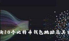 如何查询10个比特币钱包地