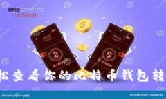 如何轻松查看你的比特币