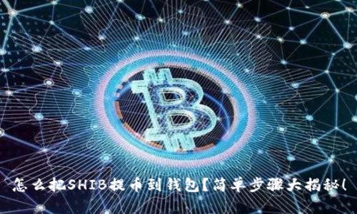 怎么把SHIB提币到钱包？简单步骤大揭秘！