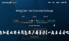 想知道比特币钱包用户有