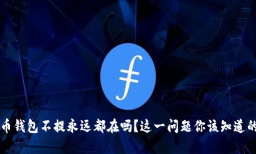 比特币钱包不提永远都在吗？这一问题你该知道的真相