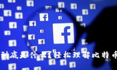 比特币钱包到底是什么？