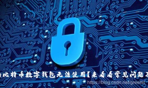 为什么我的比特币数字钱包无法使用？来看看常见问题及解决方法！