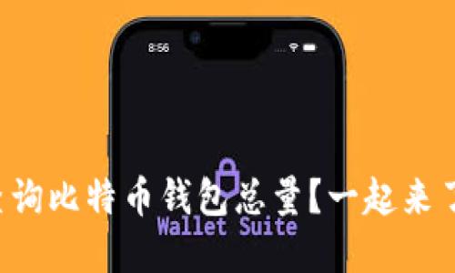 怎么查询比特币钱包总量？一起来了解吧！