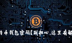 忘记比特币钱包密码？别