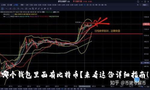 哪个钱包里面有比特币？来看这份详细指南！