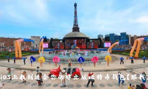 如何在iOS上找到适合你的中文版比特币钱包？跟我来聊聊！