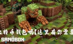 想查看你的比特币钱包吗