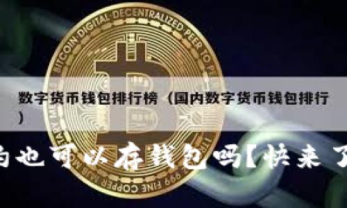 狗狗币合约也可以存钱包吗？快来了解一下吧！