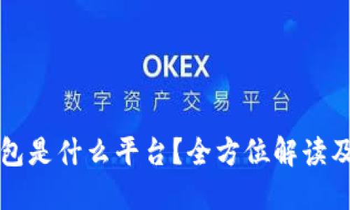比特币钱包是什么平台？全方位解读及使用指南
