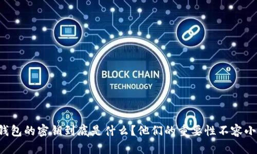 TP钱包的密钥到底是什么？他们的重要性不容小觑！