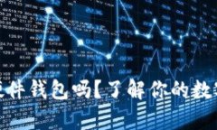 USDT可以存进硬件钱包吗？