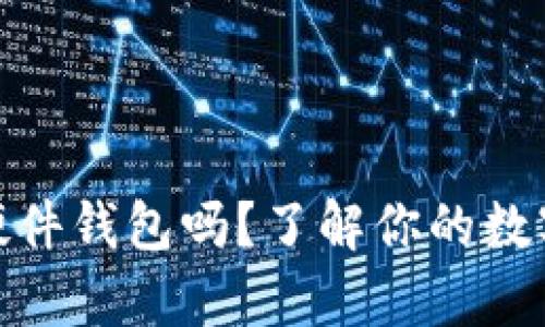 USDT可以存进硬件钱包吗？了解你的数字资产保护选择！