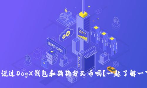 你听说过DogX钱包和狗狗分叉币吗？一起了解一下吧！