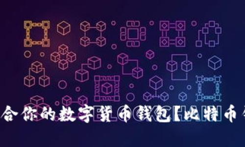 如何选择适合你的数字货币钱包？比特币钱包大揭秘！