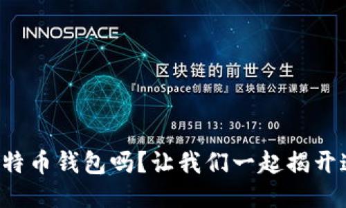 你知道怎么找比特币钱包吗？让我们一起揭开这神秘的面纱吧！