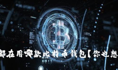 美国人都在用哪款比特币钱包？你也想尝试吗？