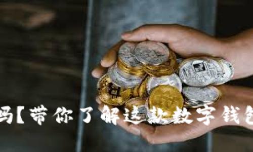 BT钱包可以囤USDT吗？带你了解这款数字钱包的潜力和使用技巧！