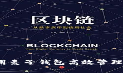 如何利用麦子钱包高效管理比特币？