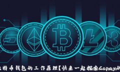 好奇比特币钱包的工作原