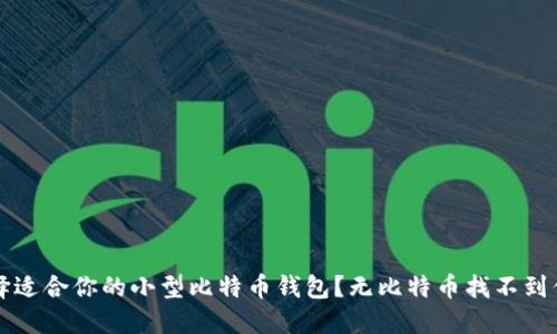 怎么选择适合你的小型比特币钱包？无比特币找不到你的快乐