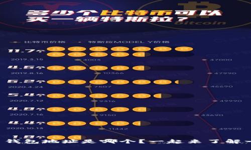 比特币钱包地址是哪个？一起来了解一下吧！