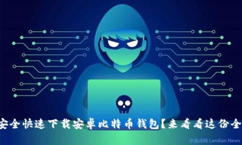 如何安全快速下载安卓比特币钱包？来看看这份全攻略！