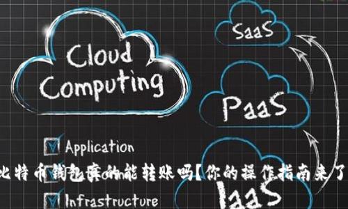 比特币钱包真的能转账吗？你的操作指南来了！