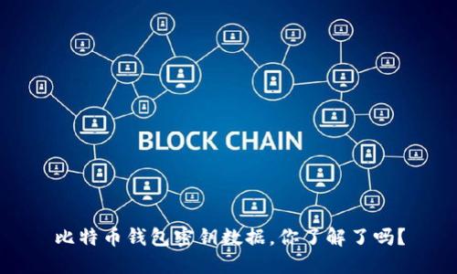 比特币钱包密钥数据，你了解了吗？