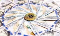 忘记TP钱包支付密码了？看