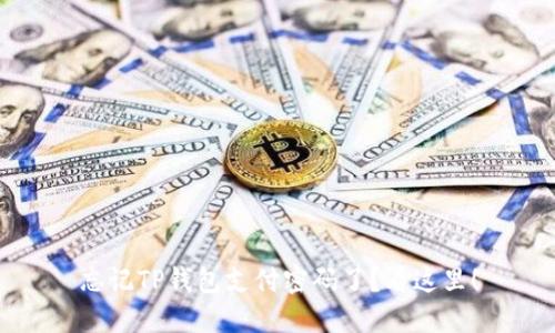 忘记TP钱包支付密码了？看这里！