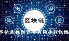 怎样快速找到你的狗狗币