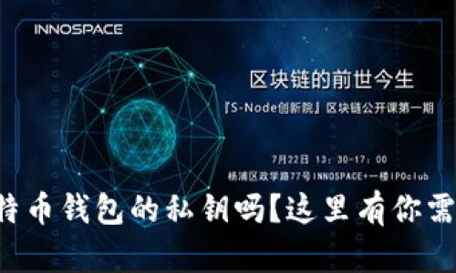 你真的理解比特币钱包的私钥吗？这里有你需要知道的一切！