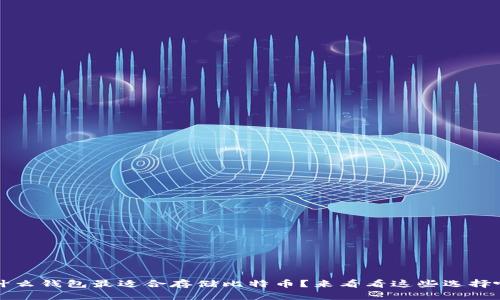  什么钱包最适合存储比特币？来看看这些选择吧！