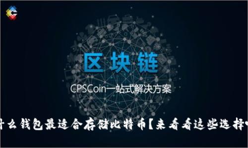  什么钱包最适合存储比特币？来看看这些选择吧！