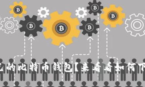 想拥有自己的比特币钱包？来看看如何下载软件吧！