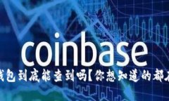 USDT钱包到底能查到吗？你