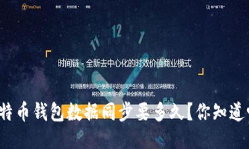 比特币钱包数据同步要多久？你知道吗？