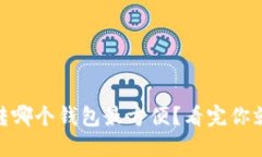 USDT转哪个钱包最方便？看