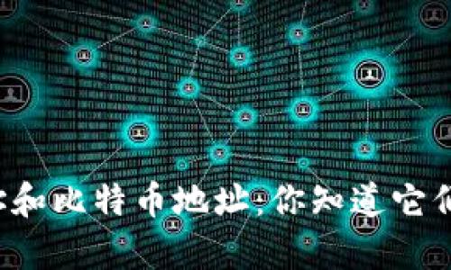 比特币钱包地址和比特币地址：你知道它们有什么不同吗？